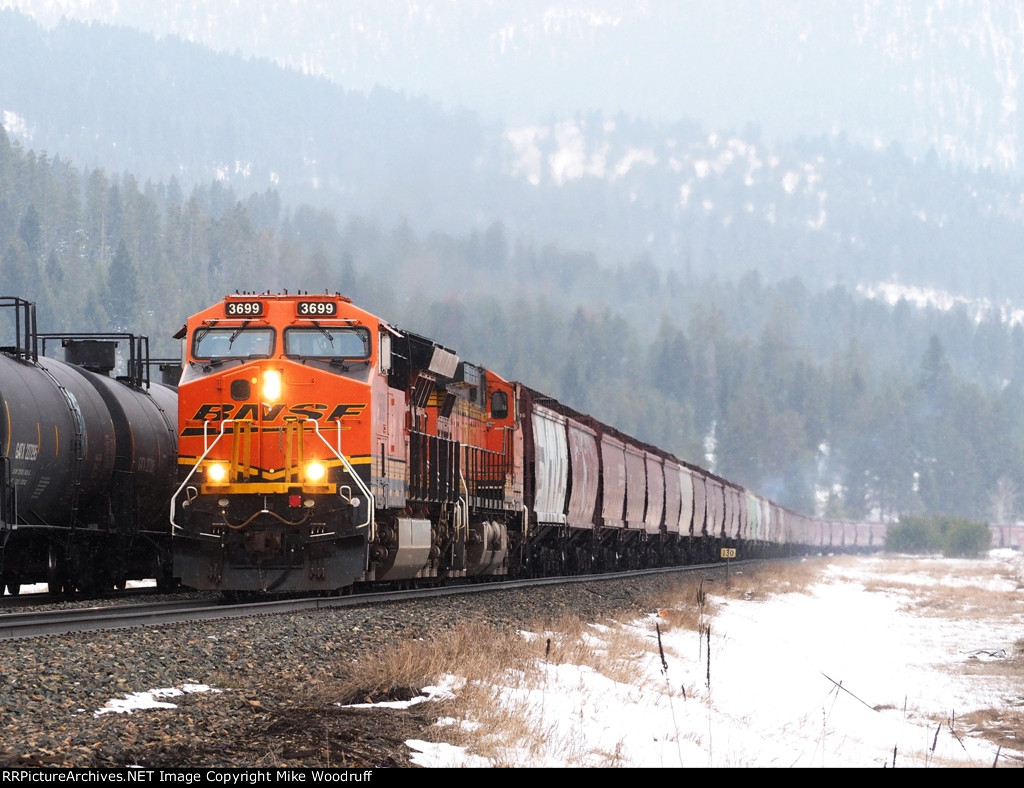 BNSF 3699